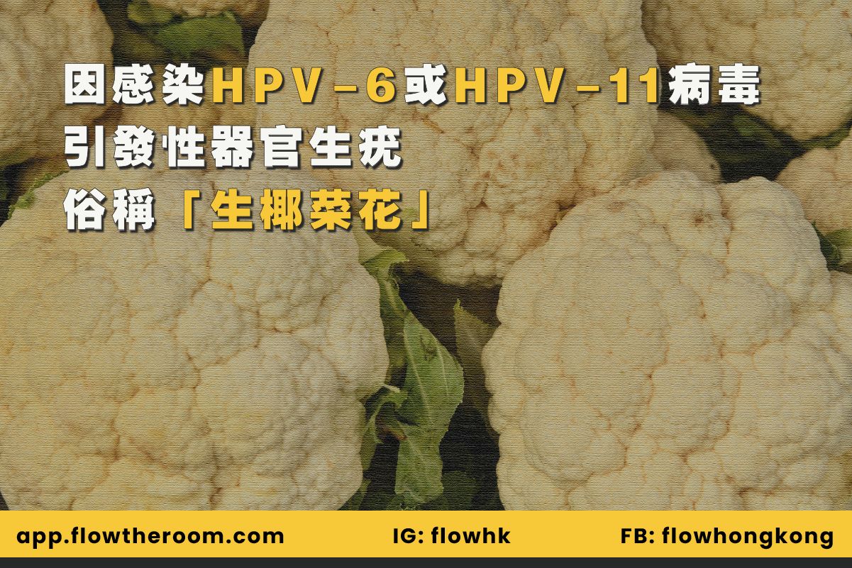 生椰菜花主要是因為受 HPV 第 6 型（HPV-6）及 11 型（HPV-11）感染
