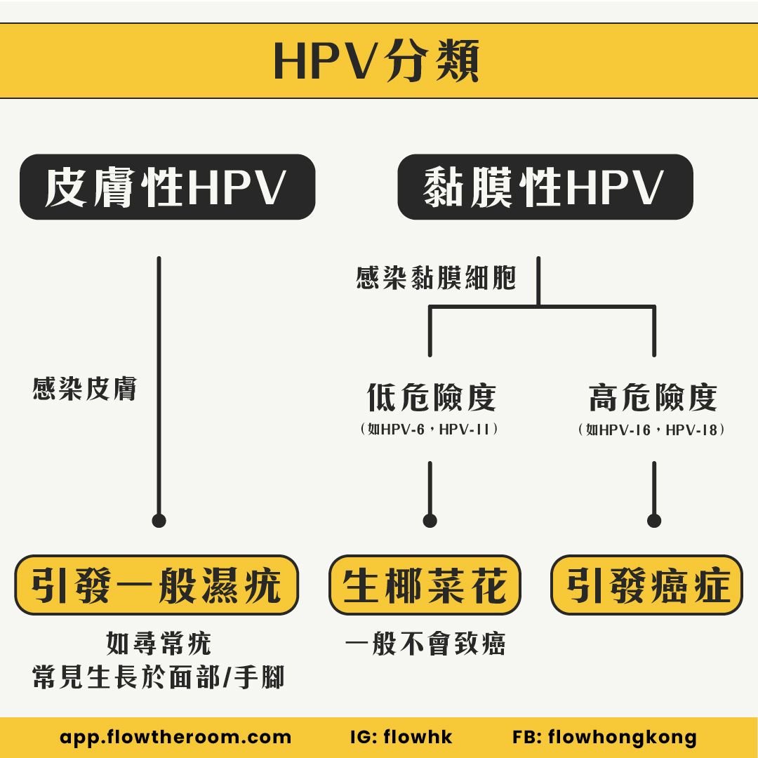 HPV分類-皮膚性HPV-黏膜性HPV-分別-高風險HPV-低風險HPV