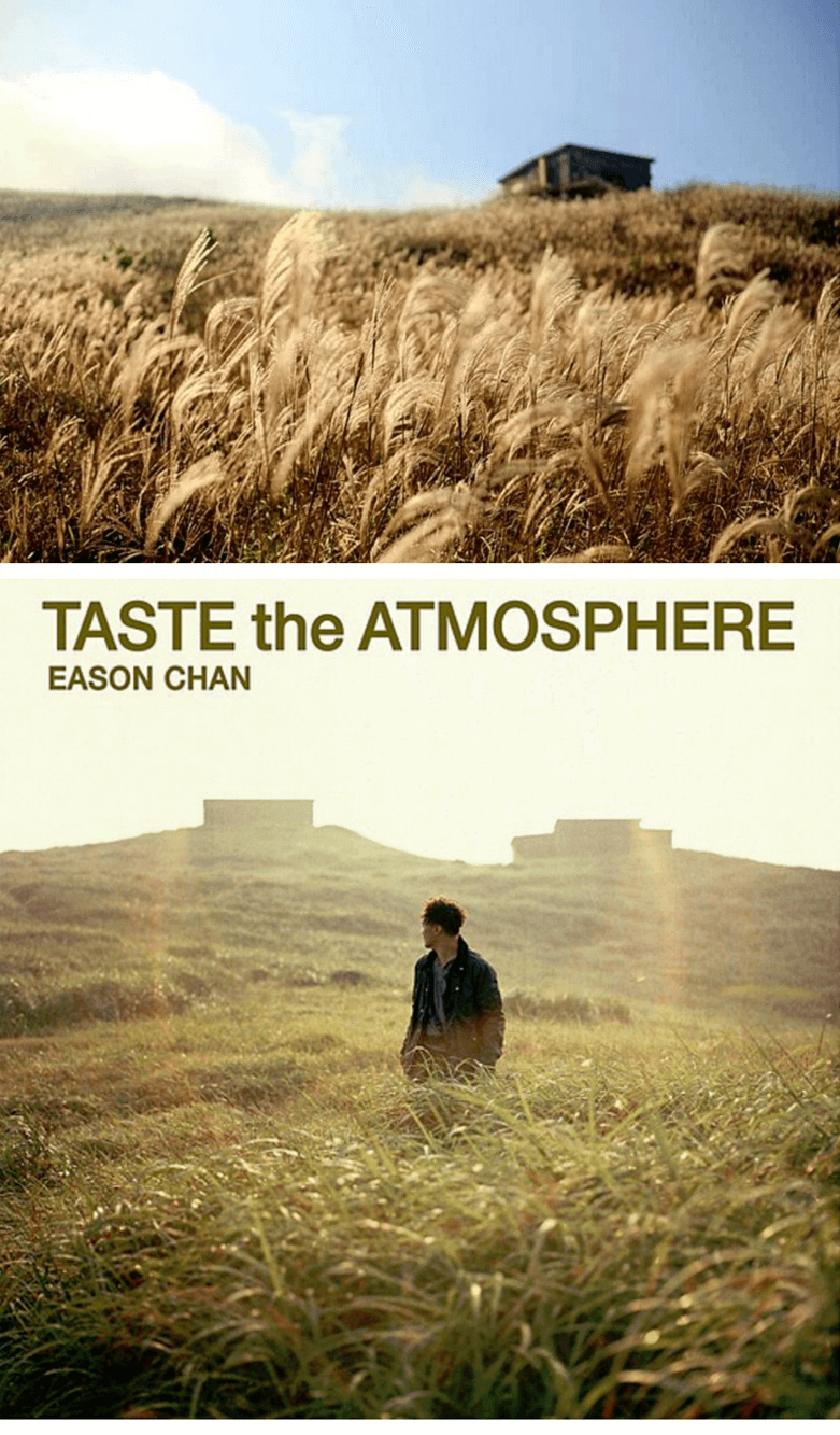 Taste the Atmosphere @ 大東山