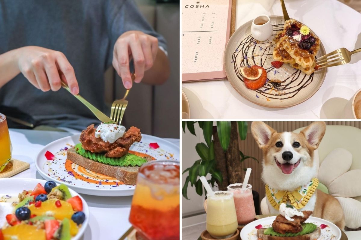 中環cafe-cosha-crispygee-petfriendly