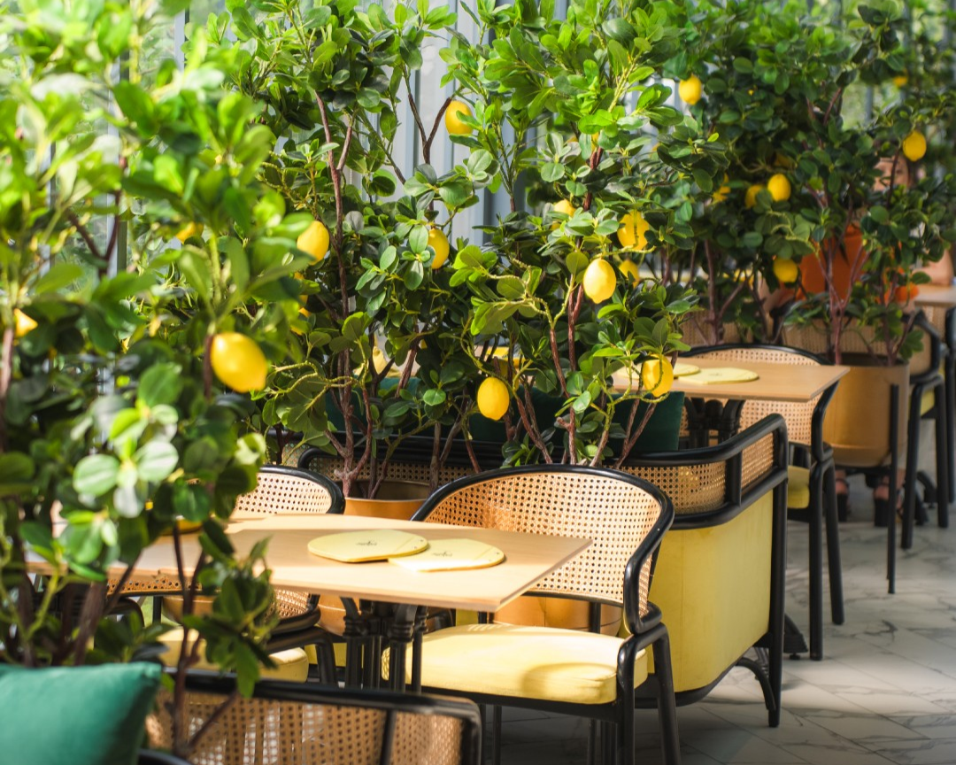 lemon tree cafe - best cafes in kuala lumpur