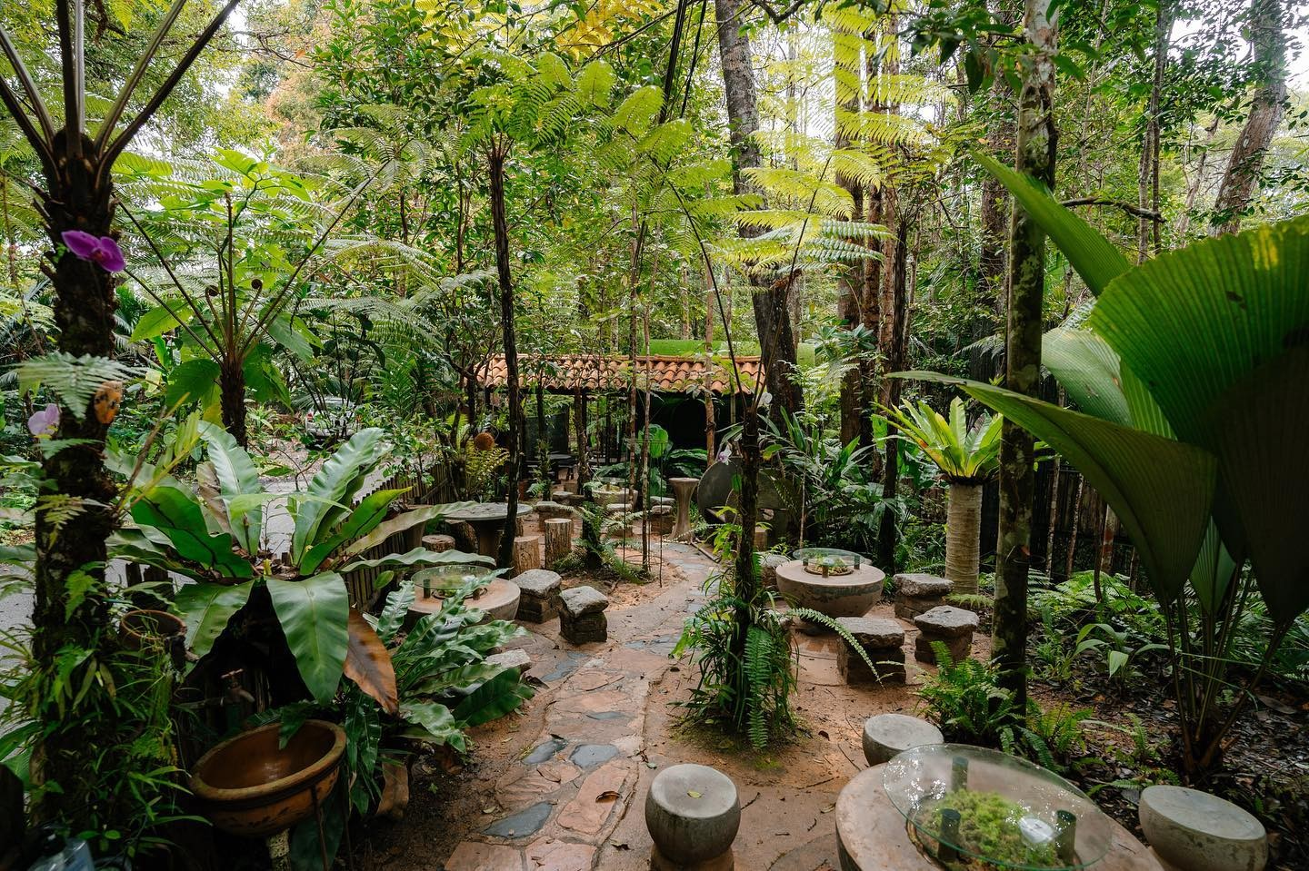 cafes in Penang
