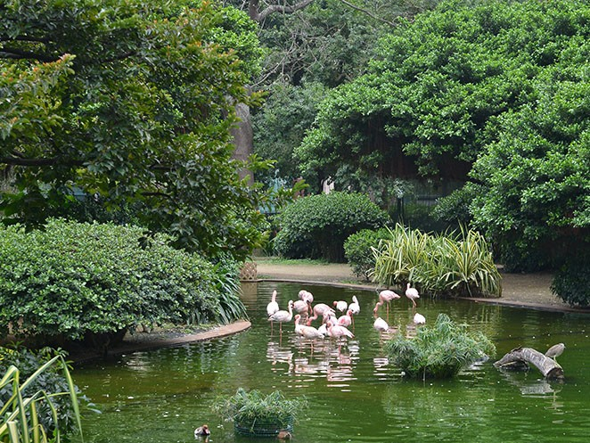 things to do in Tsim Sha Tsui