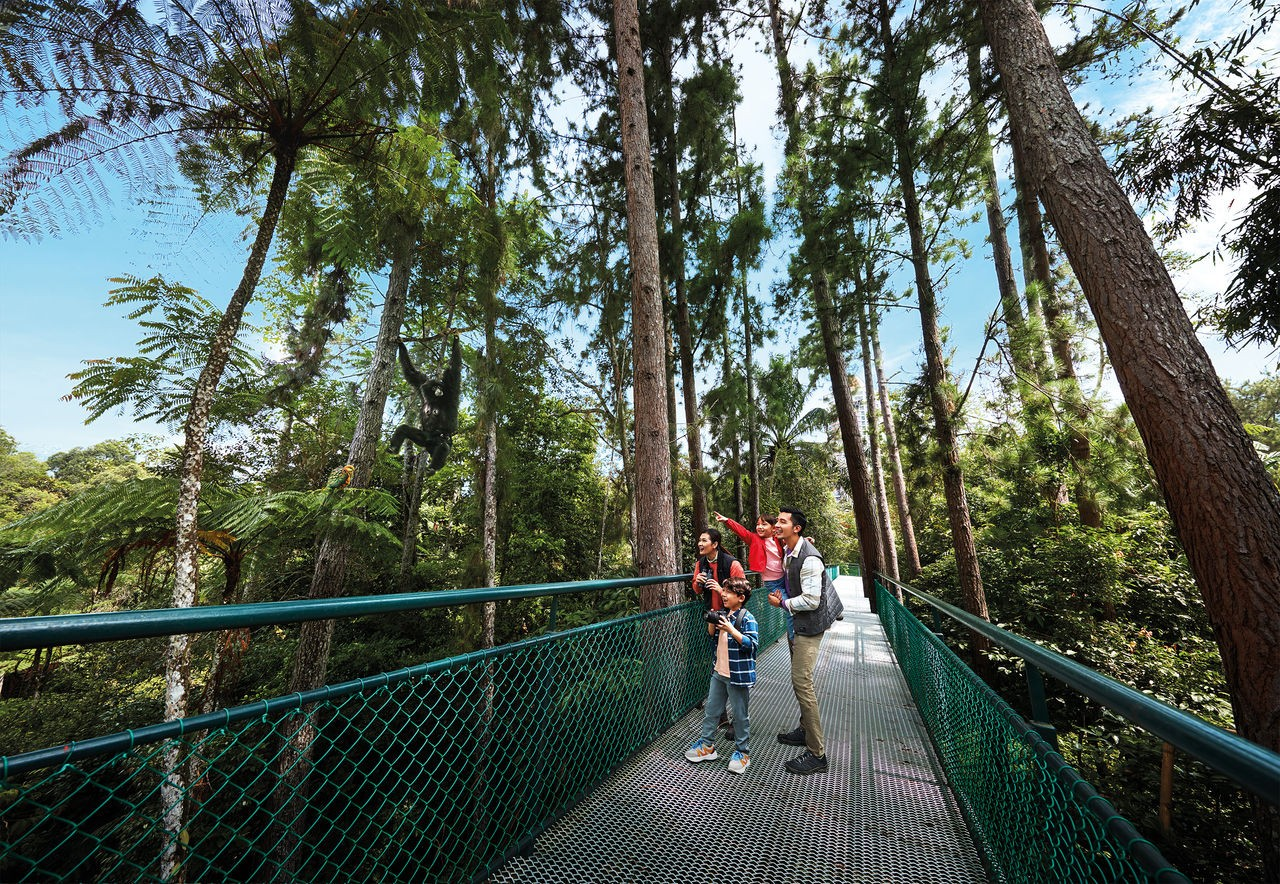 things to do in Genting Highlands