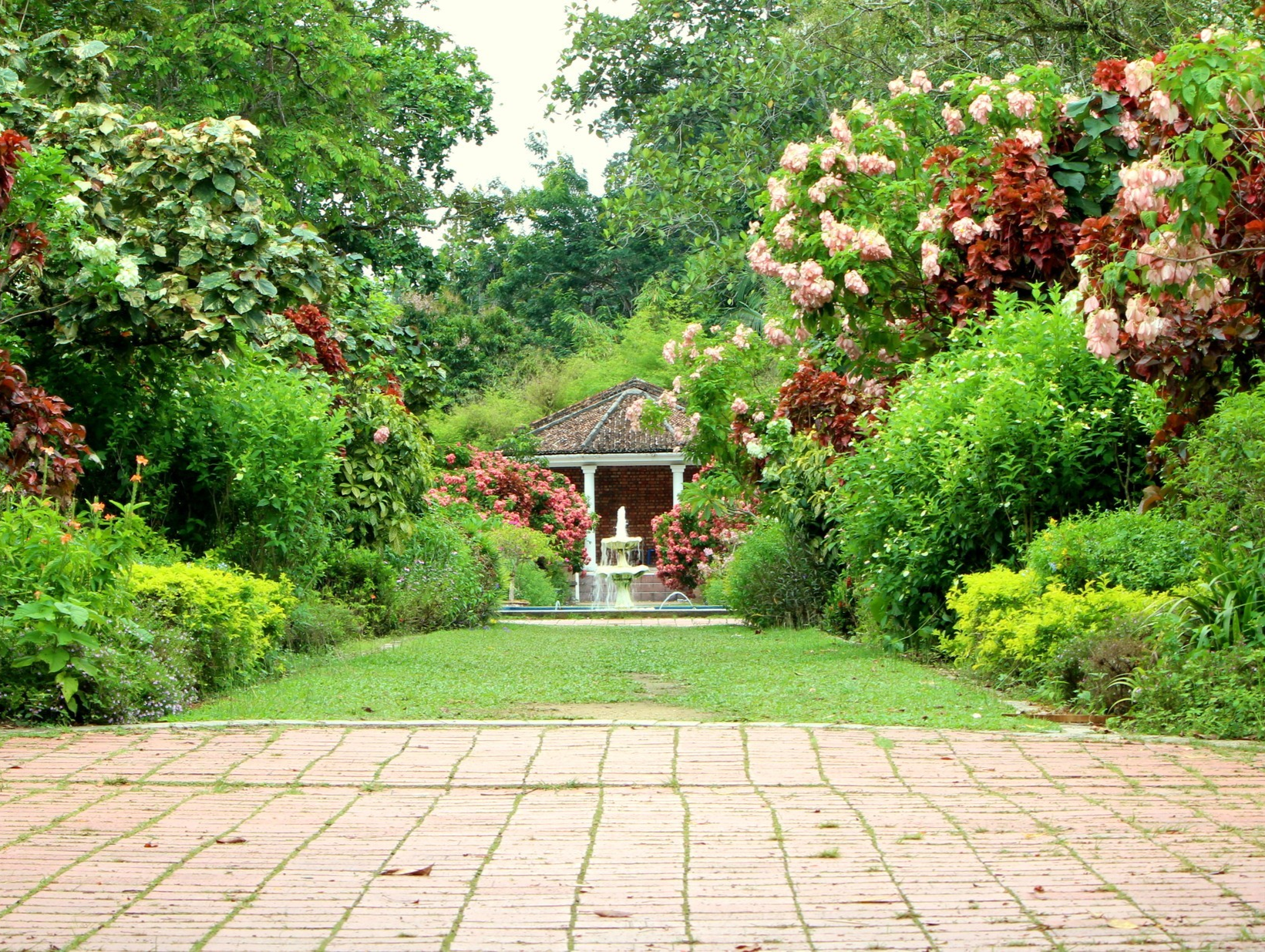 things to do in Penang