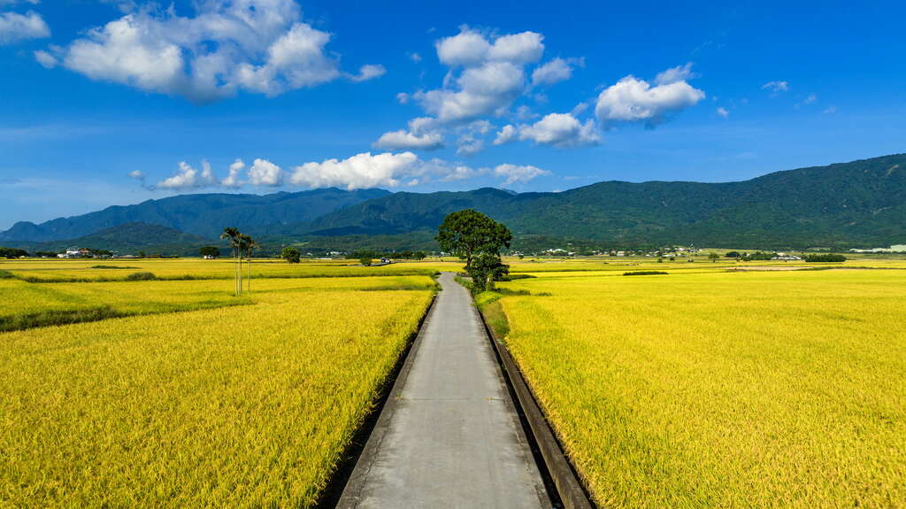 圖：台東觀光旅遊網