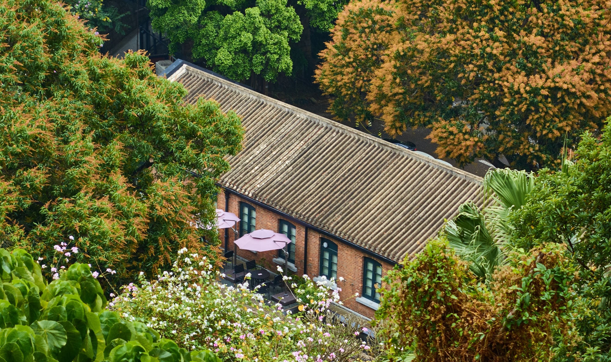 饒宗頤文化館
