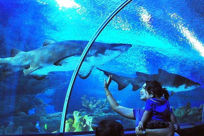 吉隆坡水族馆