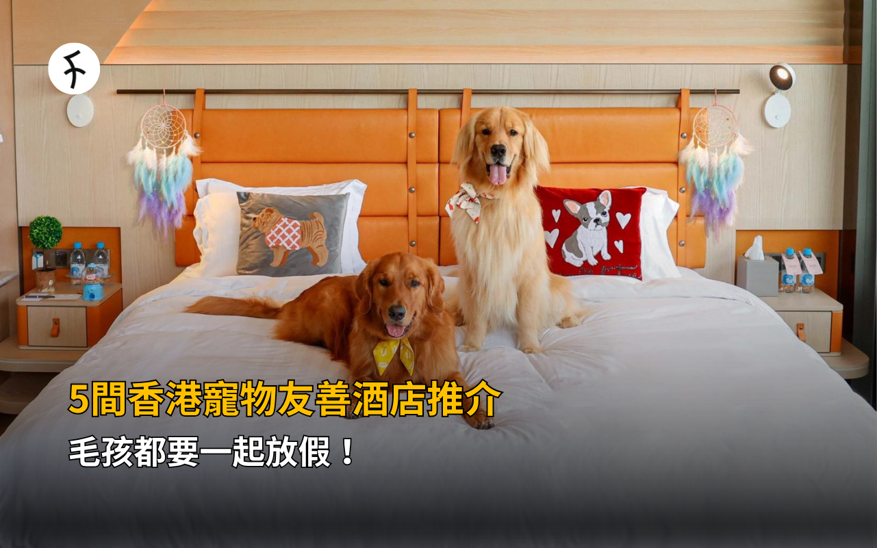 毛孩都要一起放假！5間香港寵物友善酒店推介