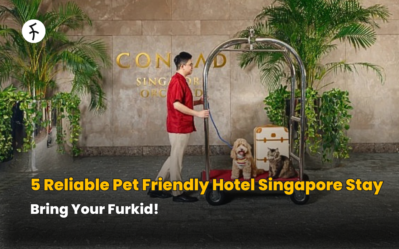 Bring Your Furkid! 5 Reliable Pet Friendly Hotel Singapore Stay
