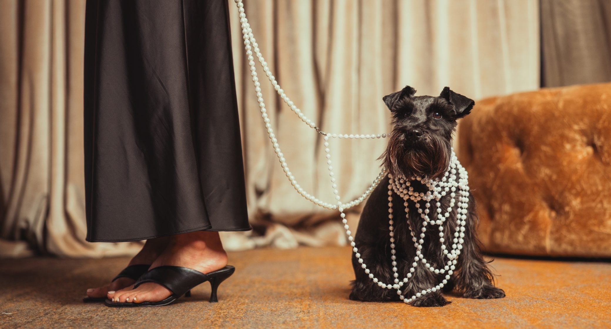 pet friendly hotel Singapore