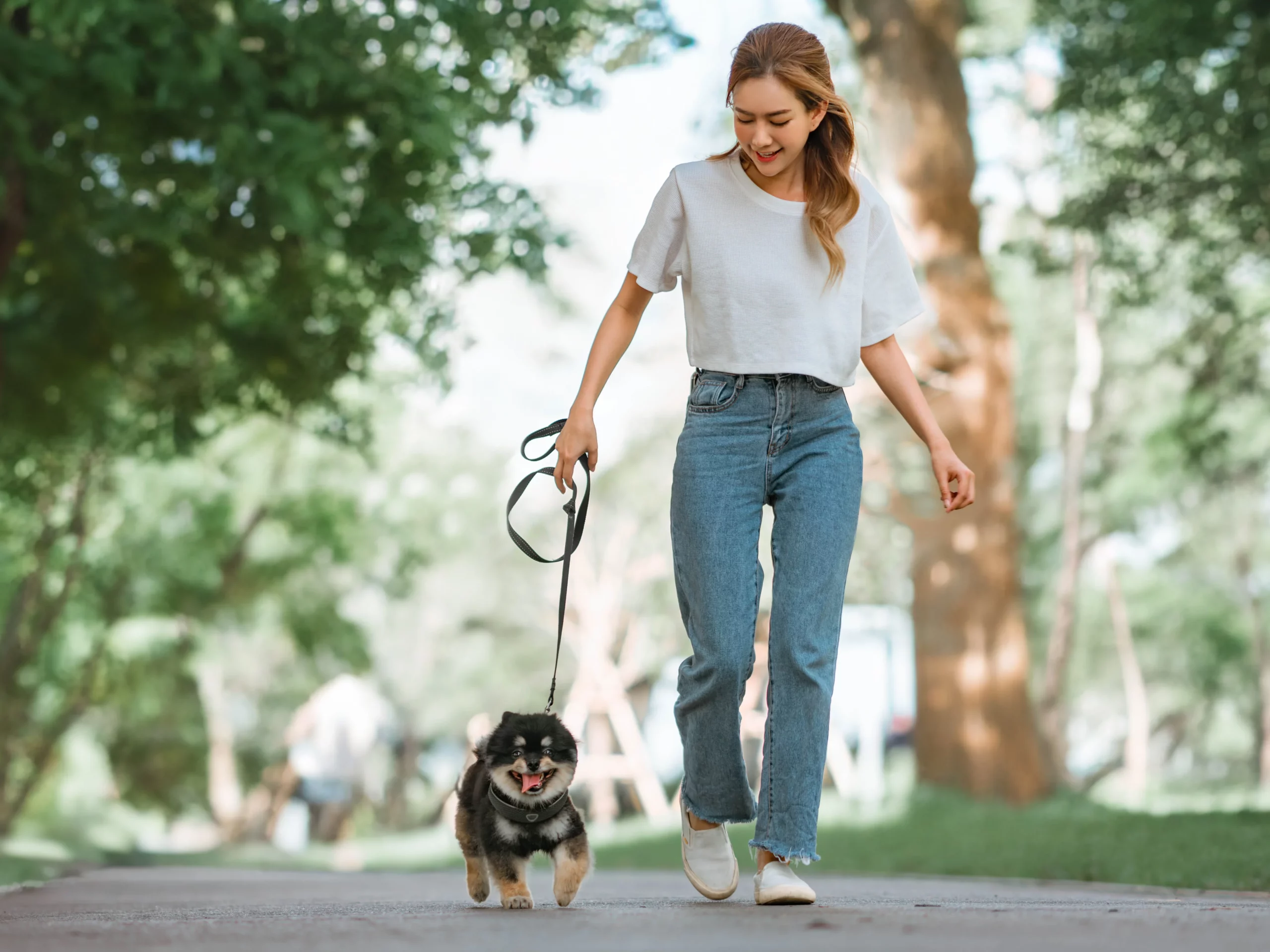 pet friendly hotel Singapore