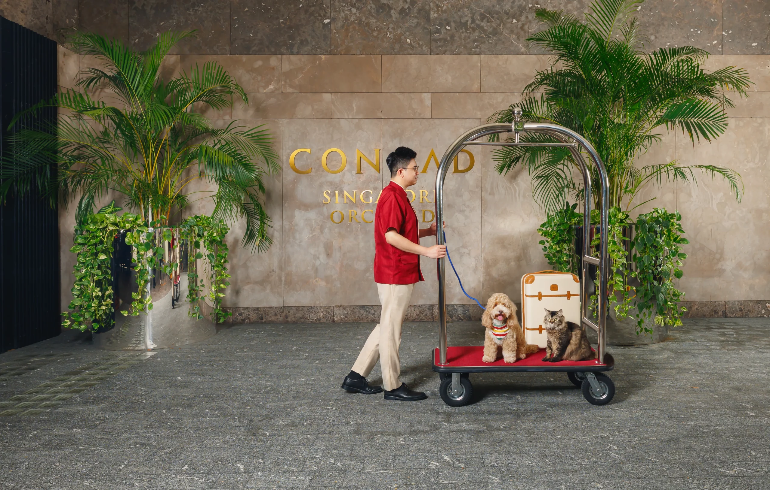 pet friendly hotel Singapore
