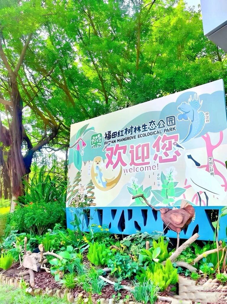 福田紅樹林生態公園