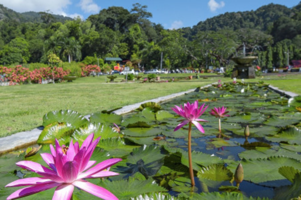 things to do in Penang Hill area