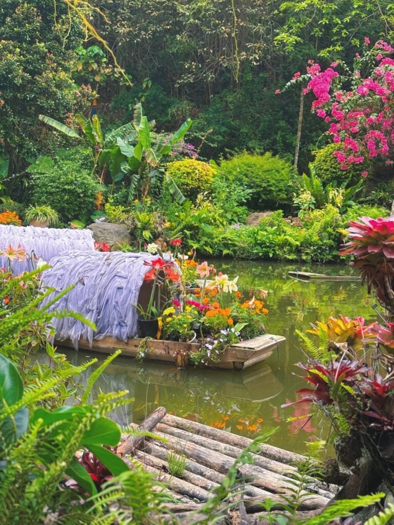 仙湖植物園