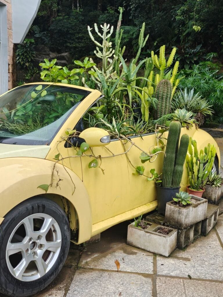 仙湖植物園