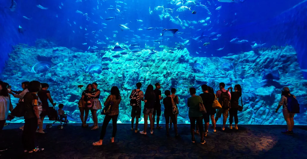 海洋公園