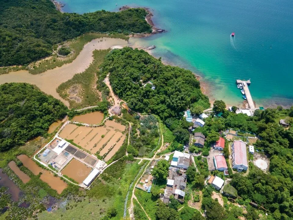 鹽田梓