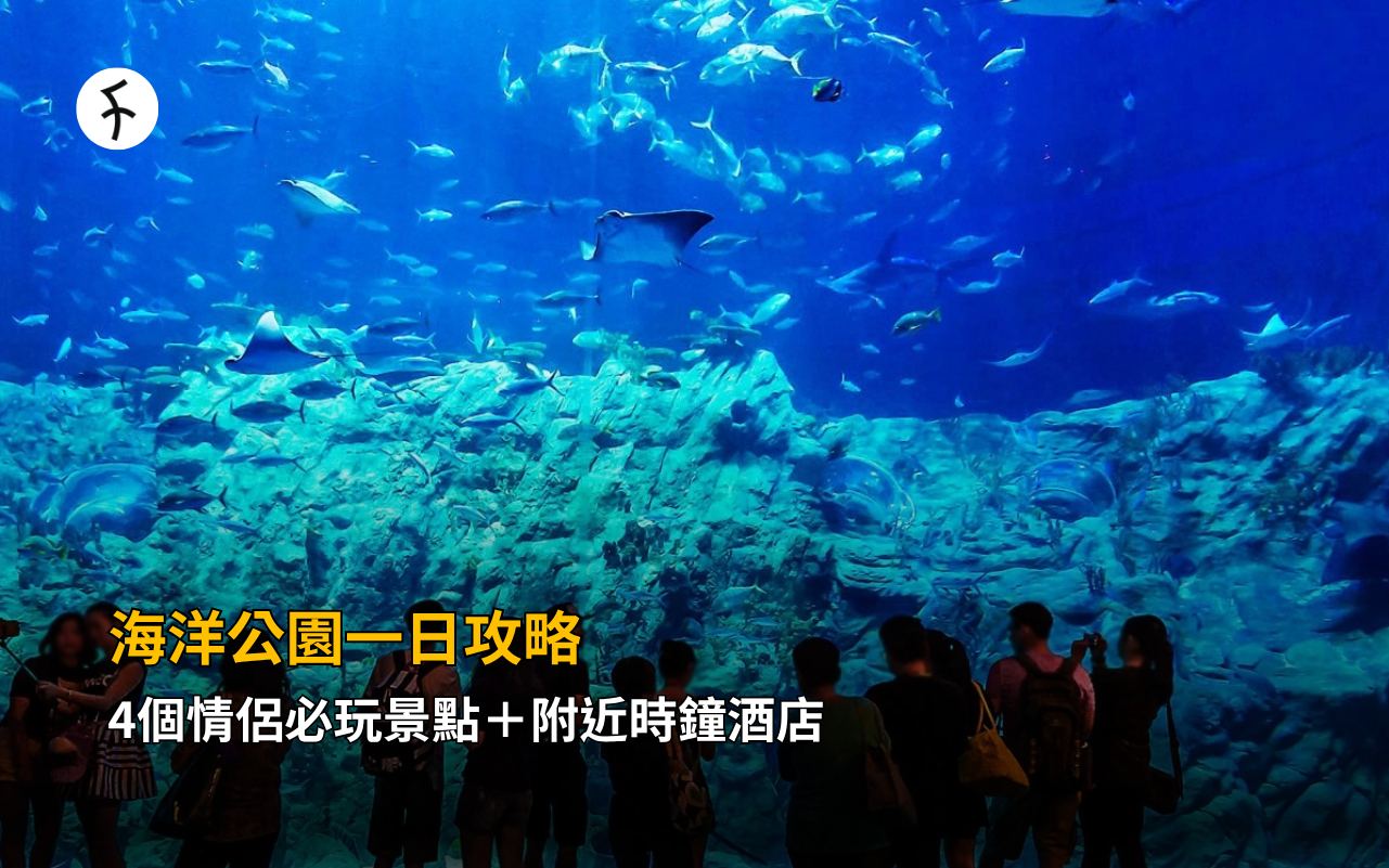 海洋公園一日攻略｜4個情侶必玩景點＋附近時鐘酒店